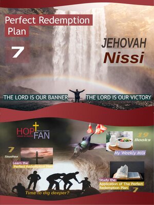 cover image of Perfect Redemption Plan 7